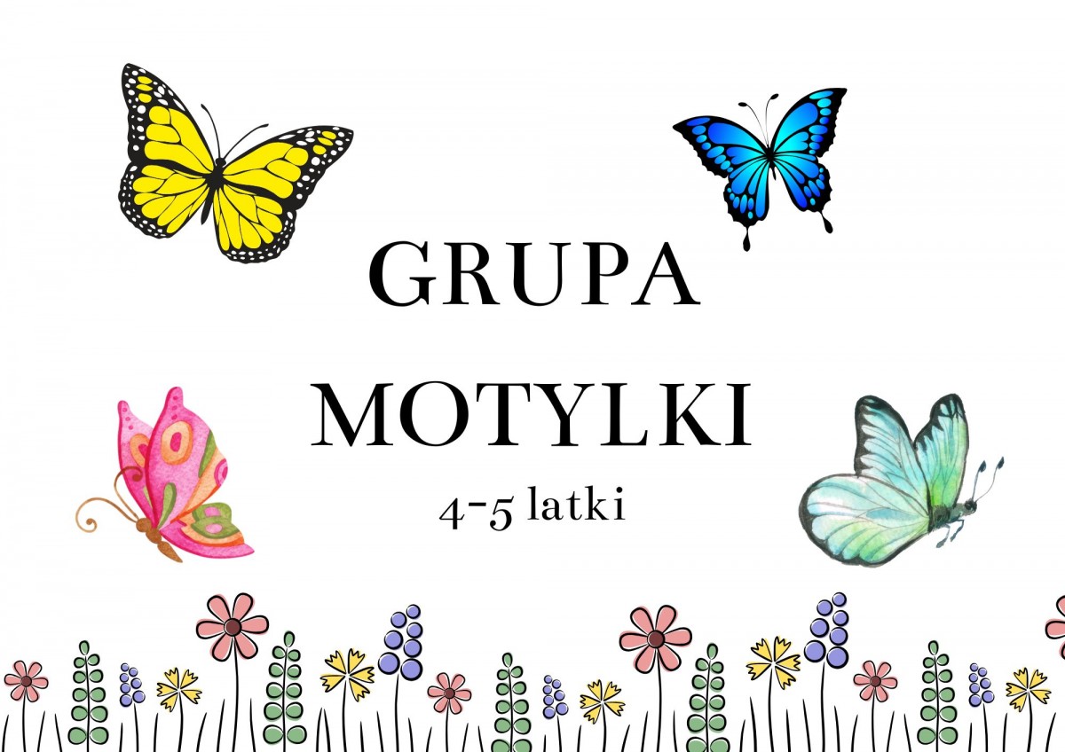 grupa motylki